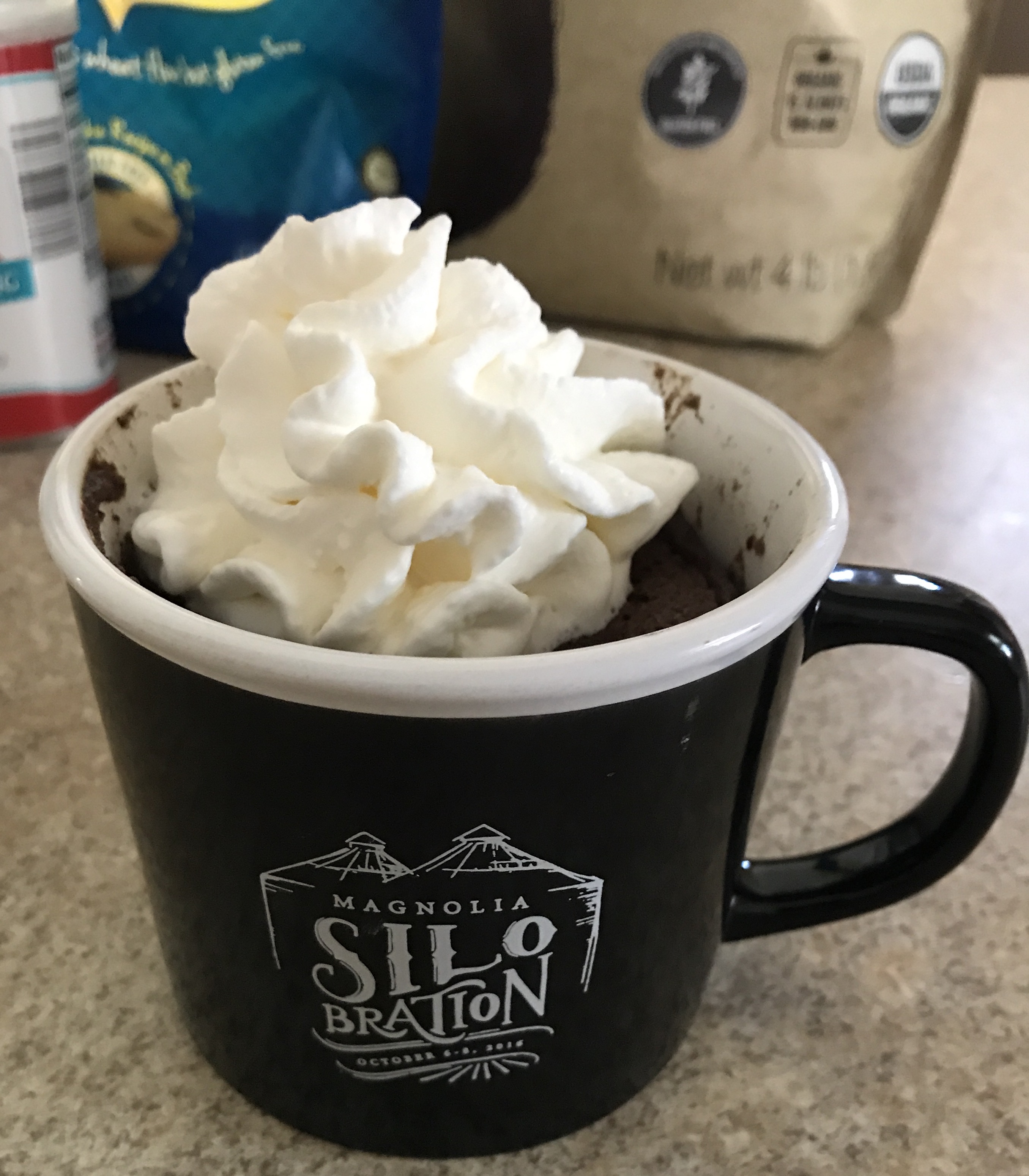 Low carb chocolate mug cake