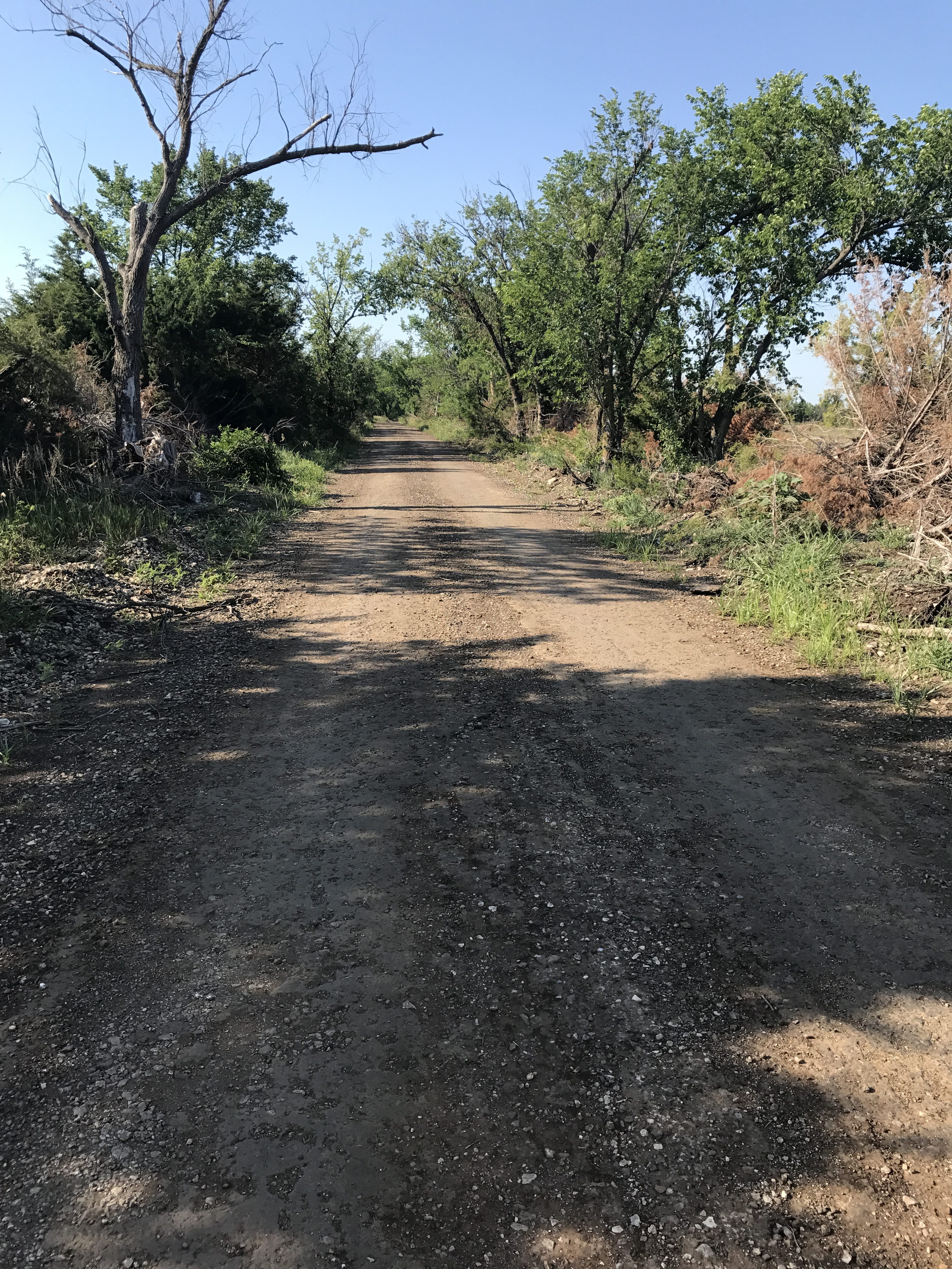 Take the Dirt Road: 5 Reasons Why
