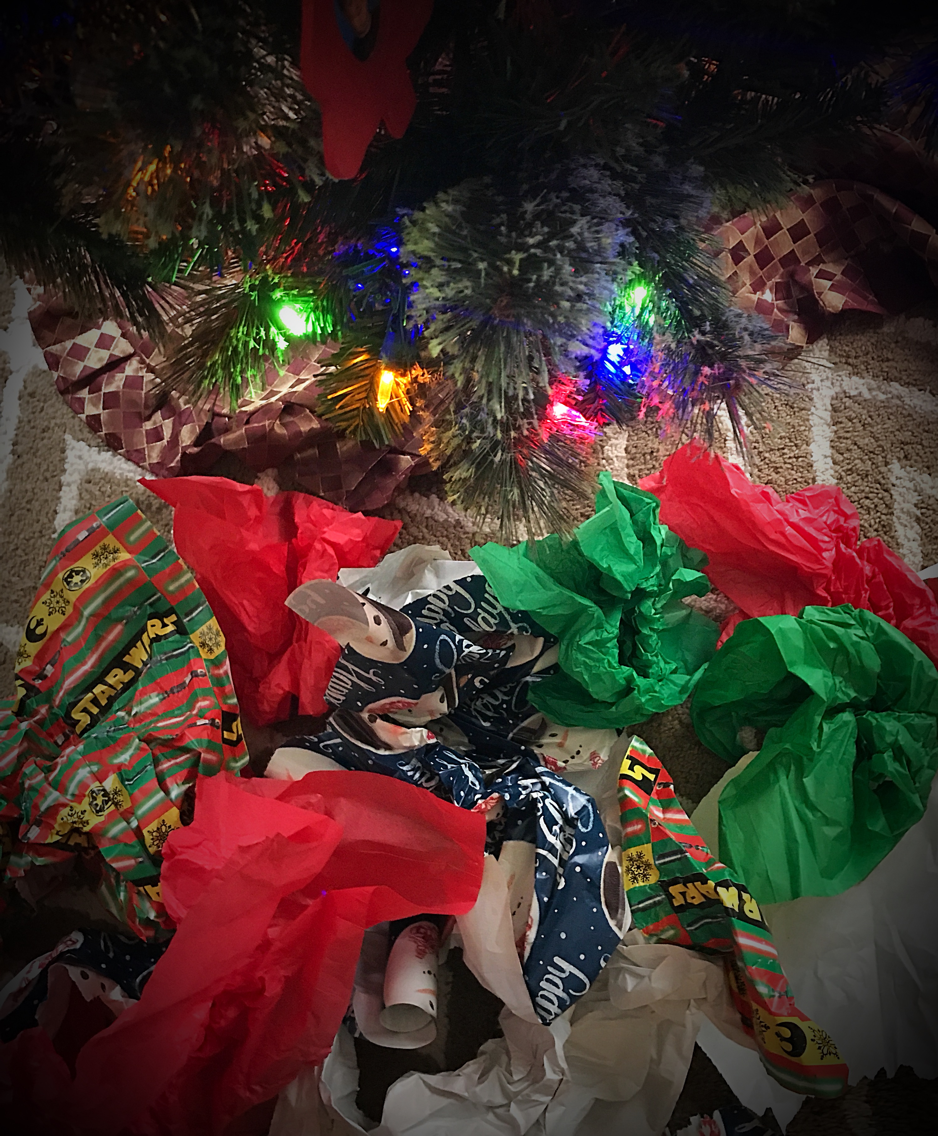 Christmas is Over…Now What?